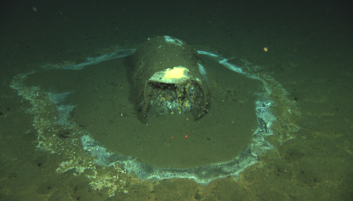 How scientists uncovered a massive underwater waste dump off Los Angeles