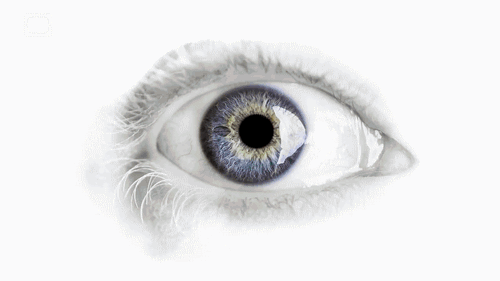 The Mind’s Eye 👁 The Mind’s Eye 👁
