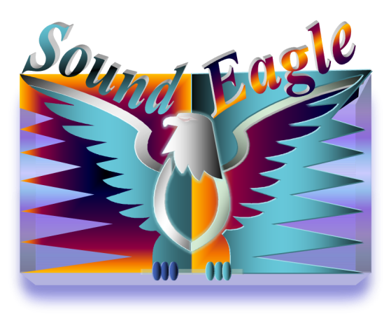 Click here to see and comment on a larger version of the image titled “SoundEagle Perch”. SoundEagle Perch