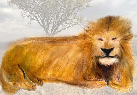 Lion Iam Author Pic
