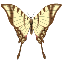 de vlinder