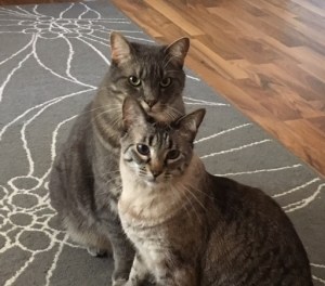 Natasha and Boris