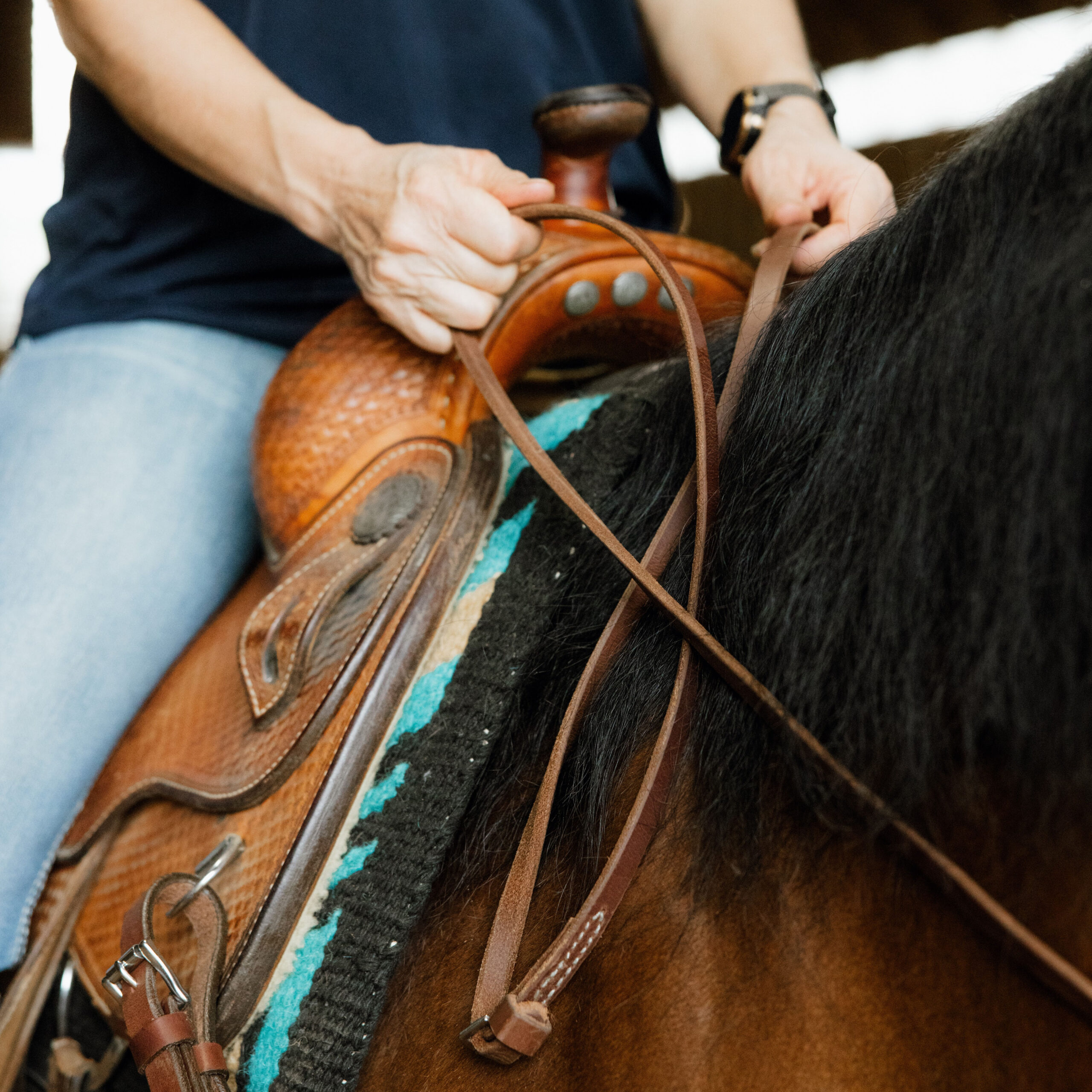 single loop leather rein