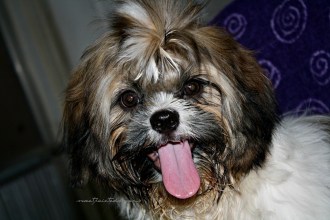 tobi IMG_9344