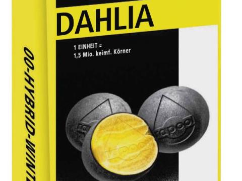 DAHLIA repce vetőmag - stabilan magas hozam, kiegyensúlyozott ellenállóság DAHLIA repce vetőmag - stabilan magas hozam, kiegyensúlyozott ellenállóság