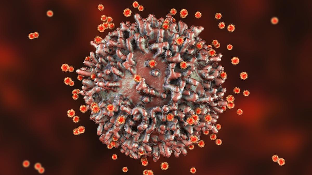 Científicos afirman que la pandemia acabará aunque el nuevo coronavirus siga existiendo: “Probablemente veremos una evolución del virus”