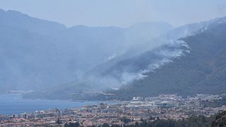 Marmaris'te çıkan orman yangını