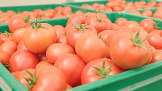 El negocio de la sostenibilidad alimentaria se extiende a la cocina y a la industria hotelera
