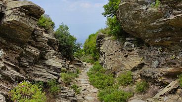 A section of the Efeler Way trail