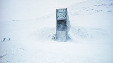 O edifício do portal e a entrada do Seed Vault num dia de inverno