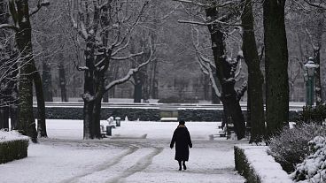 Uma mulher passeia no parque depois de ter caído neve de manhã cedo no centro de Bruxelas.