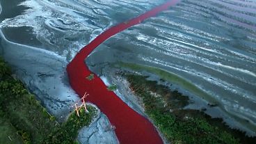 River in Argentina turns red