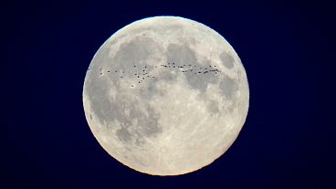 Luna llena.