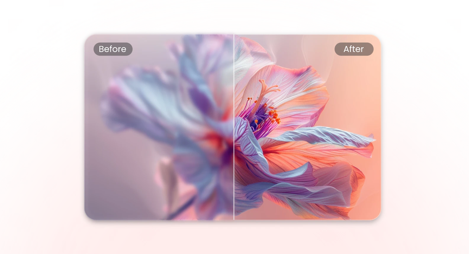 turn blurry pink flower image into HD resolution image