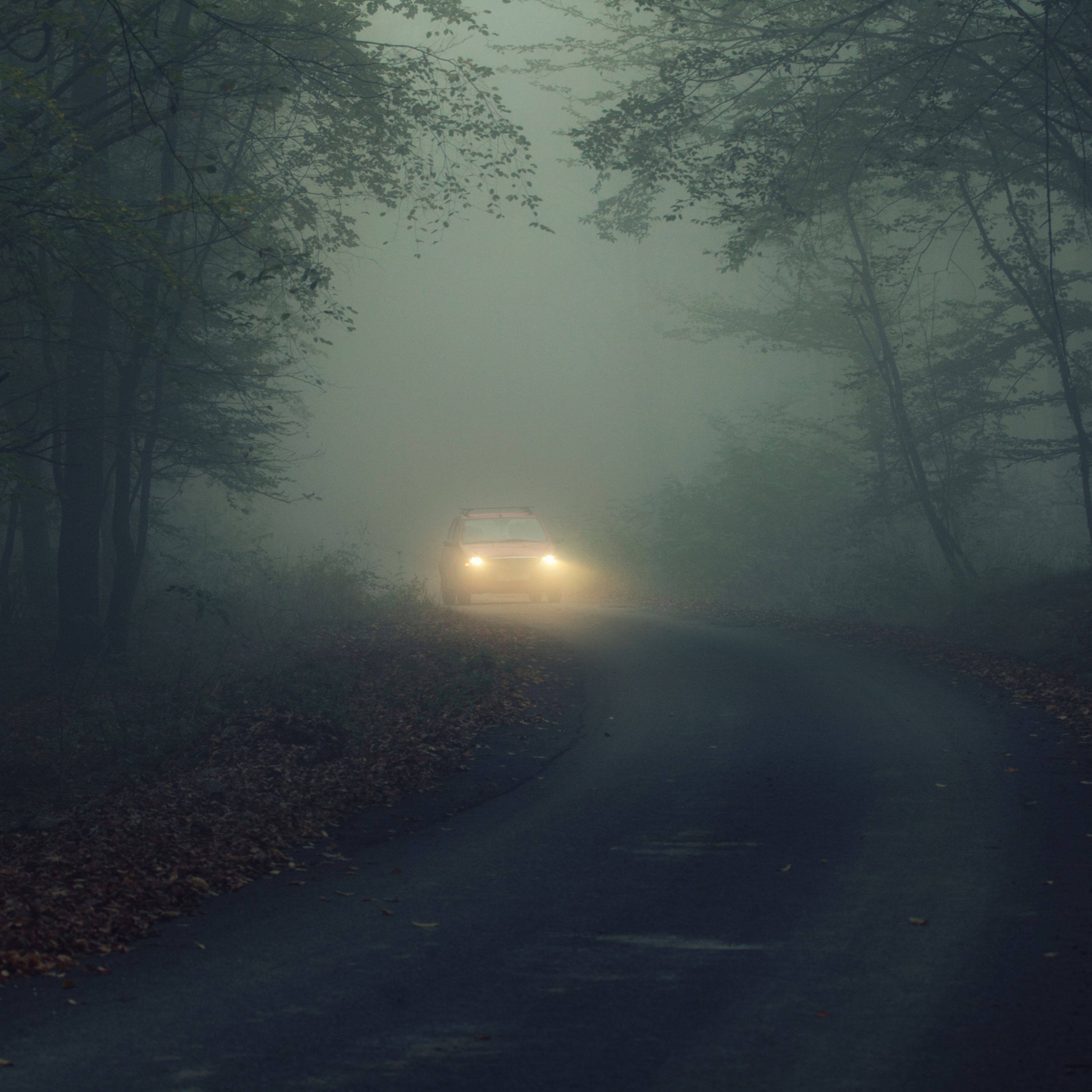 Auto in einem unheimlichen Wald – Traumdeutung Entführung