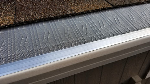 Gutter Guards London Ontario.jpeg