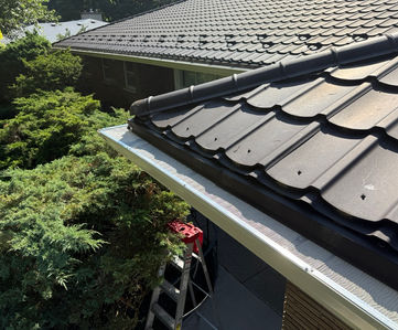LeafBlaster Pro Mesh Gutter Guards in London, Ontario