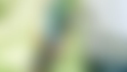 The Paintbrush Has Been Quiet for a Reason:Prepare for a Splash of Something New Coming Early 2026