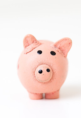 A clay pig contemplating a better way to learn