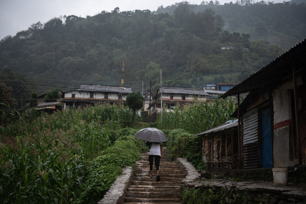 托克罗地区，德为·库马尔·塔芒和家人的住处附近。