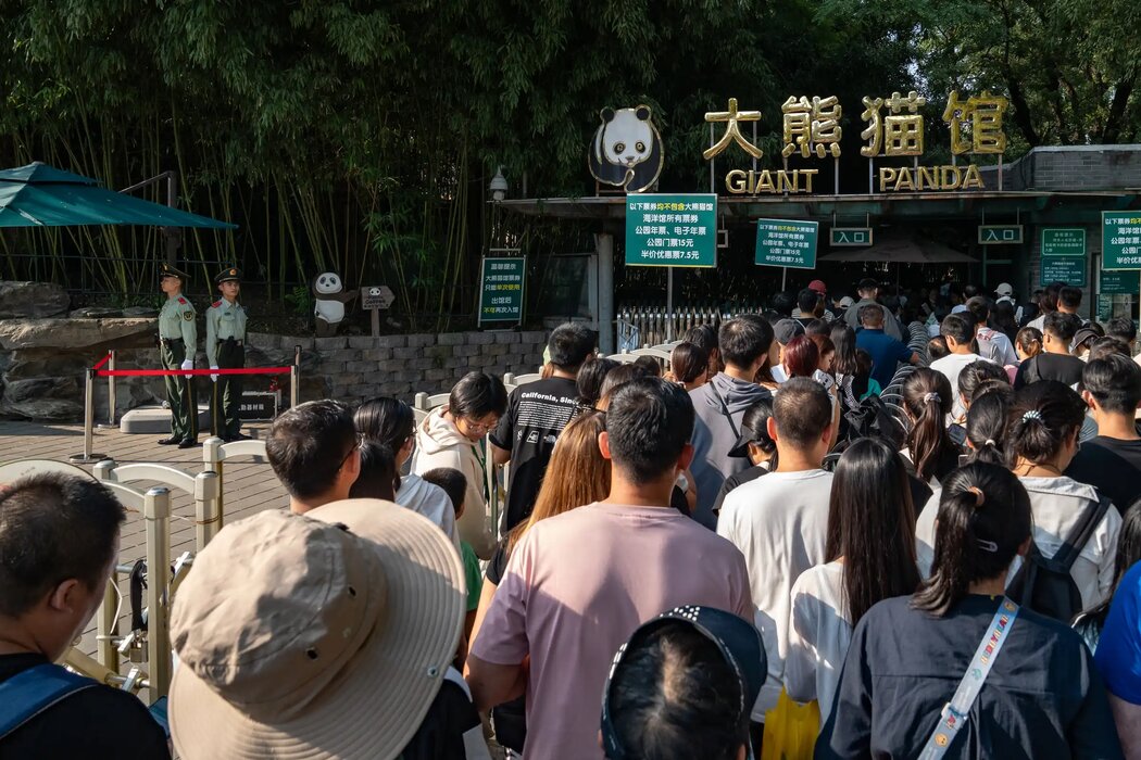 9月，遊客排隊進入北京動物園內的熊貓館。