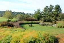 For a client in West Chester, Pa., Donald Pell created a stylized meadow of asters, purple hyssop (Agastache), threadleaf bluestar (Amsonia hubrichtii) and New York ironweed (Vernonia noveboracensis).