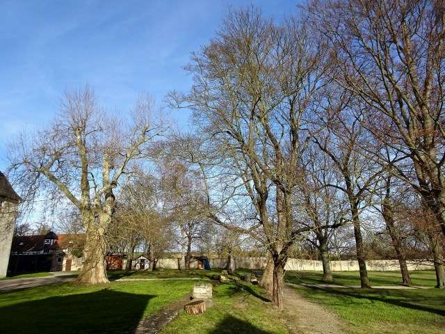 DSC02818.jpg