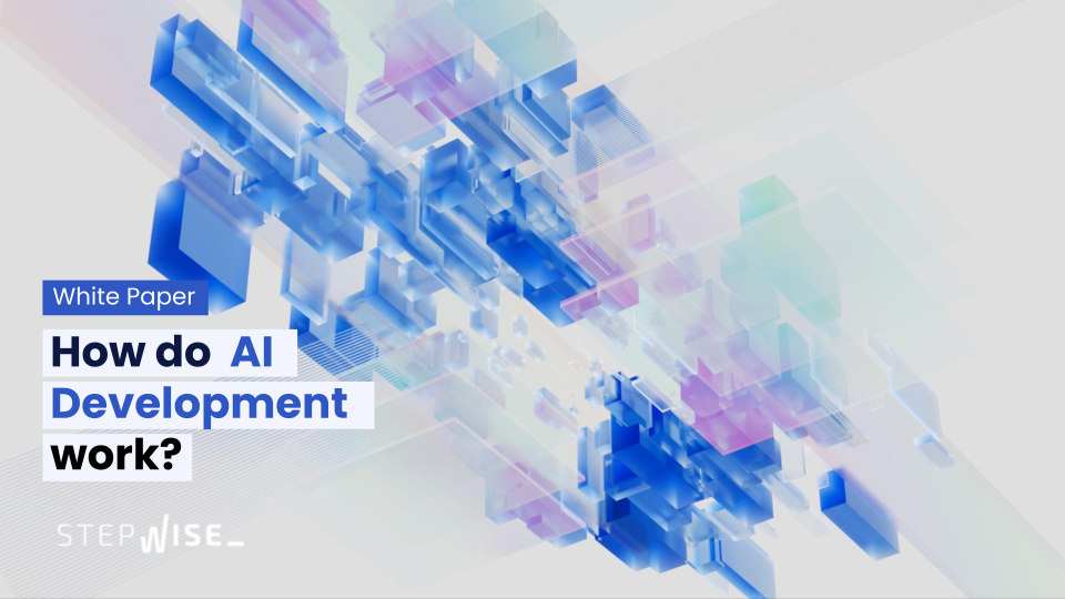 White Paper #2 - How do AI development work?
