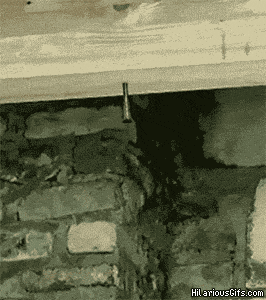 https://media.giphy.com/media/D6XNi20V4Z37a/giphy.gif