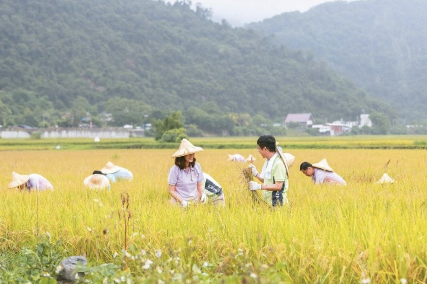 新觀念救生態…花蓮南安部落 有機拚永續