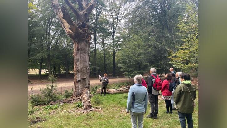 In de week van 28 april start Sportservice De Vallei met de wandeluitdaging in de gemeenten Ede, Rhenen en Wageningen. Iedereen kan meedoen.
