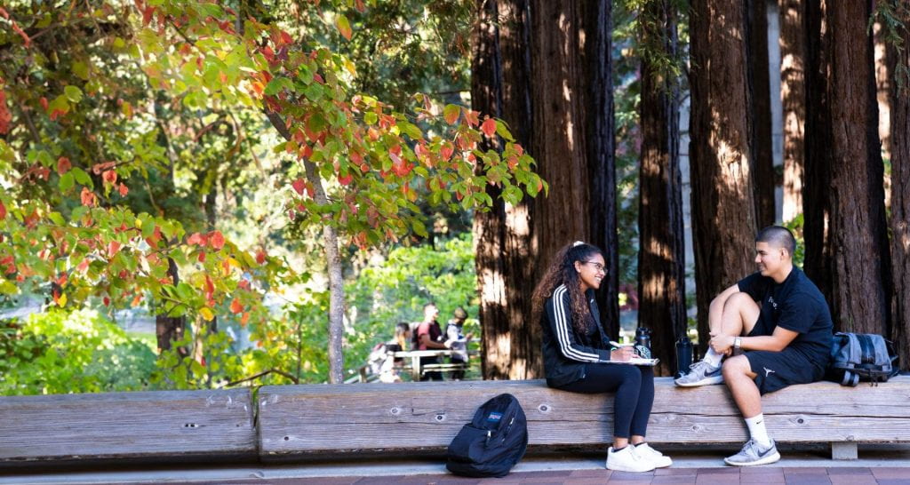 Two students sitting on a bench outside talking