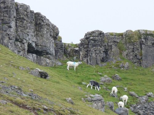 ingleton 049