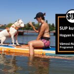 SUP kutyával, hogyan kezdjük?