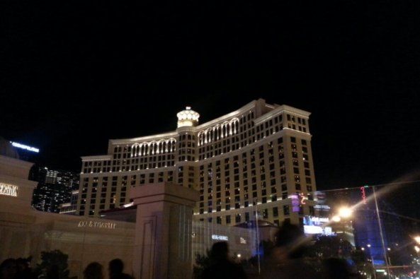 IMG_20131224_210132.jpg image