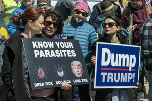 Demonstrierende halten Anti-Trump-Protestschilder