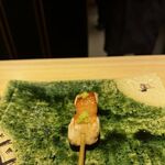 bird's nest - 
