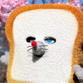 さとちは