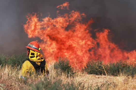 A firefighter watches a prescribed burn as the Max Fire burns in Lancaster, California, June 16, 2024.