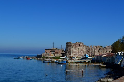 DSC_04754