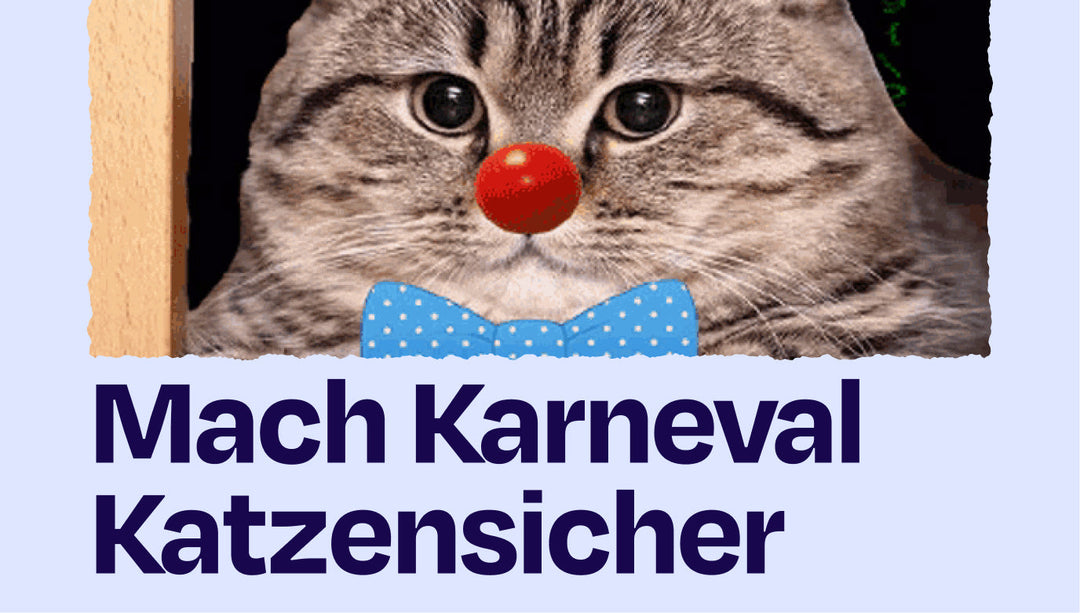 Sicherheit für Katzen an Karneval – So übersteht dein Stubentiger die närrische Zeit stressfrei