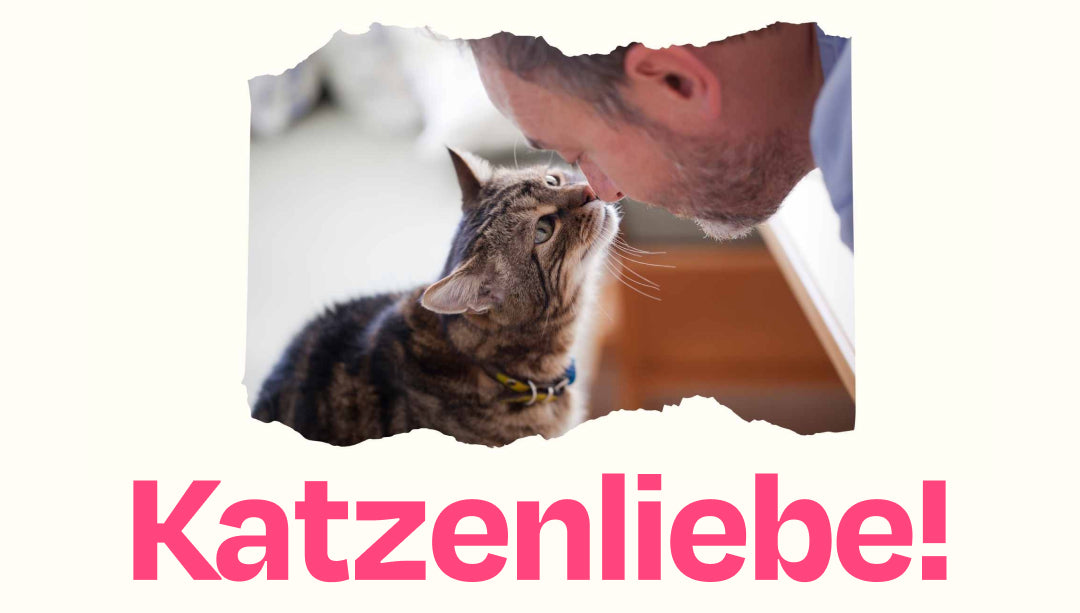 Liebt meine Katze mich? Und wie merke ich das? (#liebegehtraus)