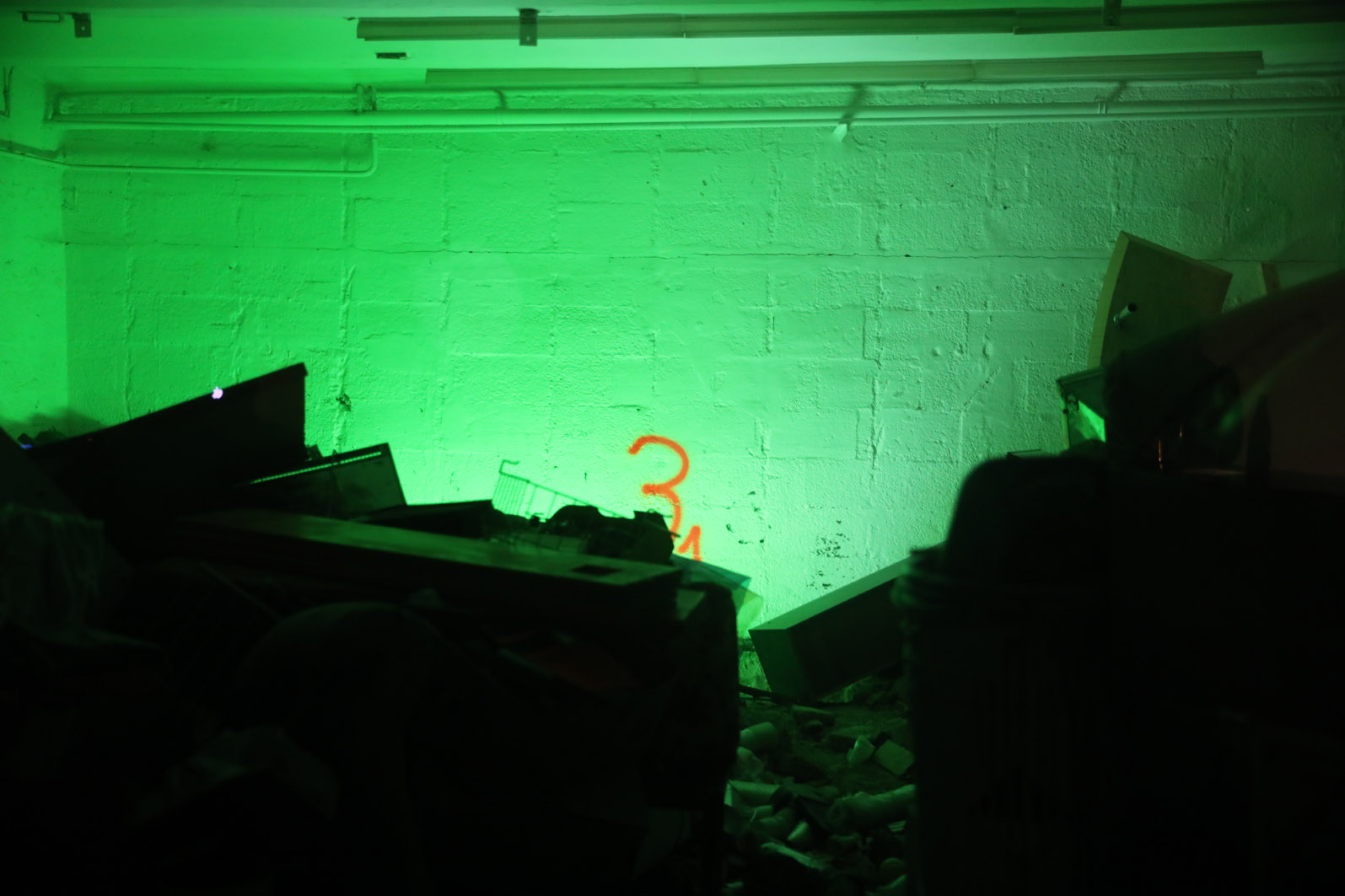 jungle by weproductions©thedessous jungle by weproductions©thedessous