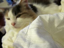 Tips & Tricks for handsewing thedreamstress.com
