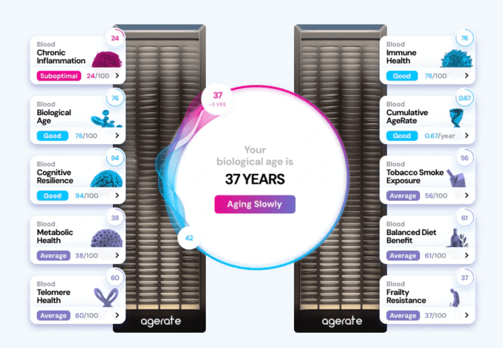 AgeRate’s Suite of Scores from their Epigenetic At-Home Test Kit