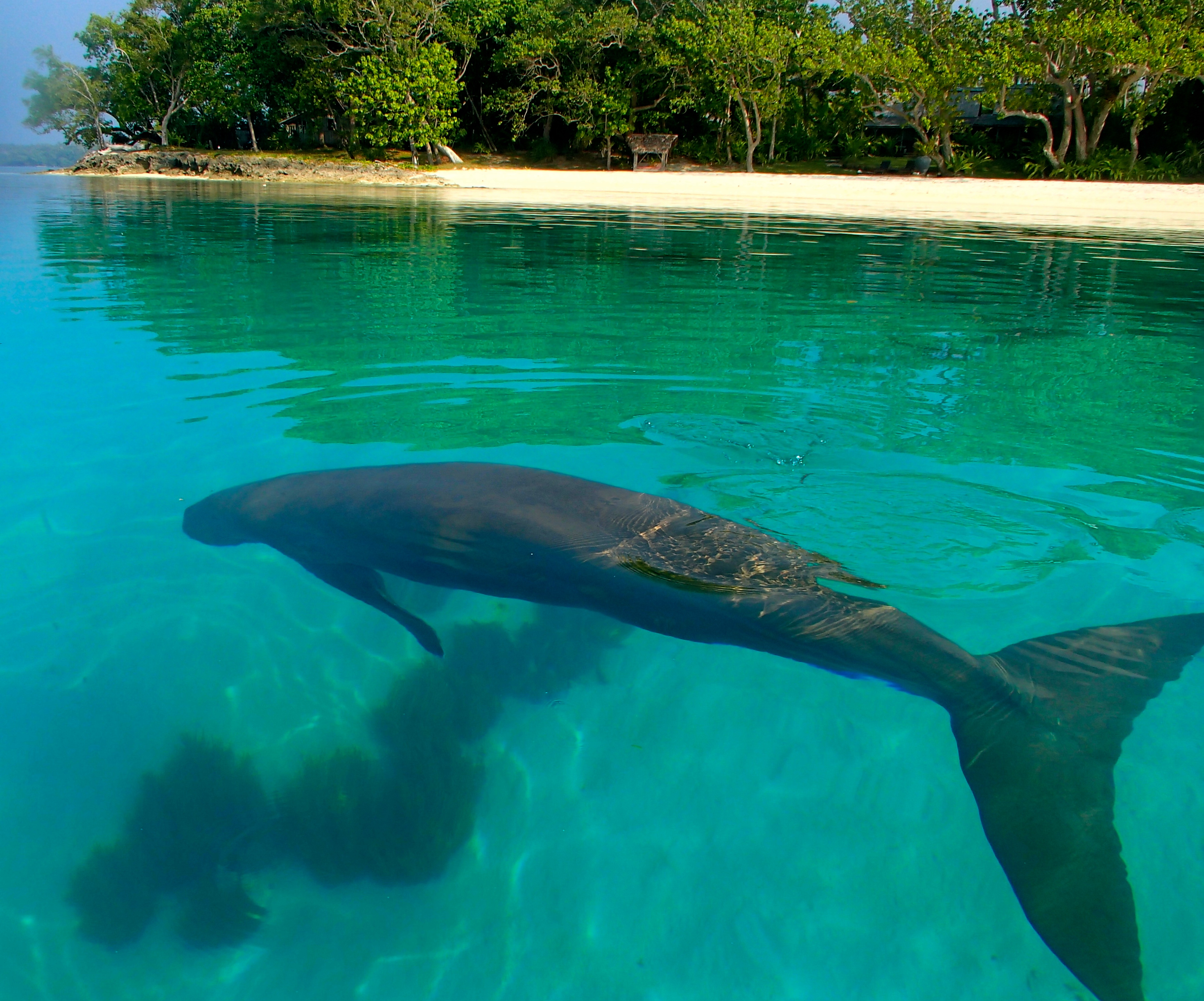 Ratua Island