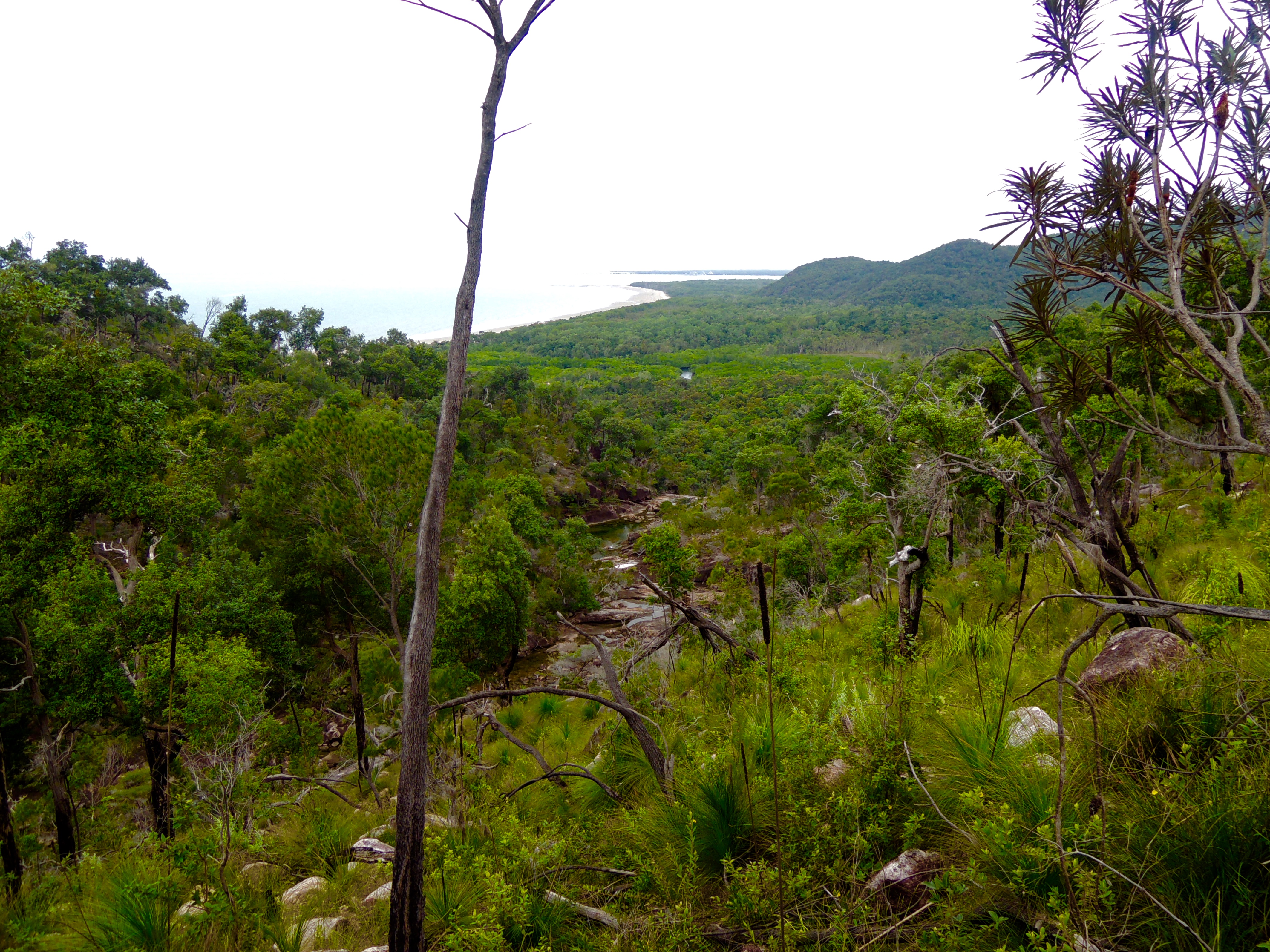 Thorsborne Trail