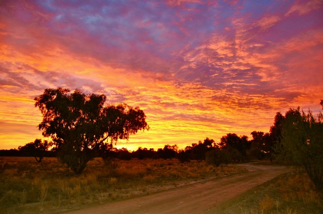 Welford National Park