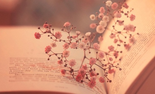 heart flowers book.jpg