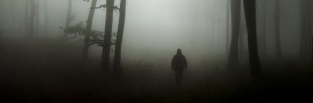 spooky forest background
